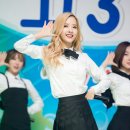 보나