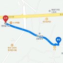 지도 왕벚나무길 이미지