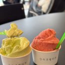 제젤라또 이미지