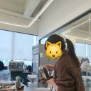 맘보 | 강서바리스타학원 맘보아카데미 후기 ☕