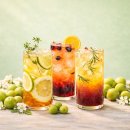 신아인터네셔날 이미지