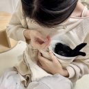 수완종합 동물병원 이미지