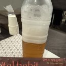 맹물 못 먹는 1인, 바이탈해빗 자몽블랙티로 맛있는 수분 충전