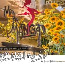 뮤지컬추천 l 뮤지컬 맨오브라만차 (Man of La Mancha)
