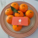 화심농장 이미지