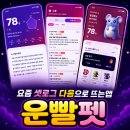 다음펫 | 셋로그 다음으로 뜨는 운세앱 '운빨펫' 후기