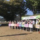 물야중학교 이미지