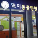 경기중앙동물병원 이미지