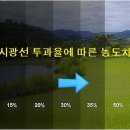 레이노솔라캐치두실점