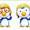 펫하임 강아지 고양이 이미지