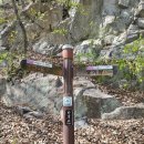 23.04.08 대전 둘레산길 12구간 산행후기