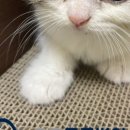 과천우주동물병원 이미지