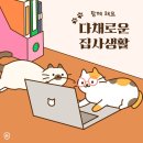 컴투펫 위탁보호센터 인천점 | 컴투펫 인천점에서 데려온 고양이 두리안(룬)