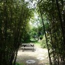 솔향기가득한집 이미지