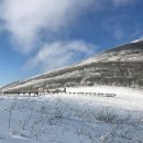 2023-2월18-19(토.일)1박2일 순백색의 세계-인제자작나무숲-곰배령의 겨울 이미지