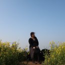 성공렌트카 이미지