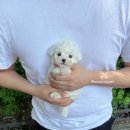 오늘이더예쁜공주 이미지