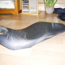 스카이정비 이미지