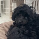 구르미살롱 이미지