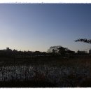 전북대학교박물관 이미지