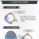 안경매니져신흥점 이미지