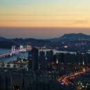 장산 Daum카페