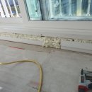 퍼스트하임 이미지