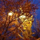 솜리문화예술회관_소공연장 이미지