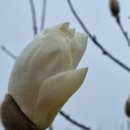 STX건설 마량항 정비공사 | 전남 강진 봄 나들이