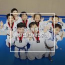 역삼 효 태권도장 이미지
