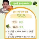 오븐에구운닭가야말산점 | 4세 한그릇 유아식 아기 닭다리살 요리 데리야끼 양파 덮밥 저열량 레시피