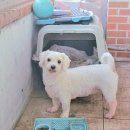 오태동물병원 이미지