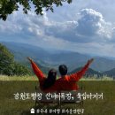 운무목장 | 평창 산너미목장 캠핑 후기, 육십마지기 그리고 운무 너무 좋았던 2박3일