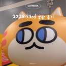 2025 궁디팡팡 캣페스타 33rd 서울 궁팡 후기 (+ 양재 aT 센터 주차 할인)