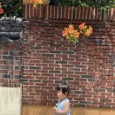 회화나무 작은도서관 이미지