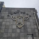 영월동강한우타운 | [영월] 🥩 동강한우타운 — 영월에서 즐기는 정통 한우 정육식당의 맛과 신뢰(숯불)