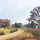 공주대 천안캠퍼스 이미지