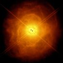 Seed of Li 이미지