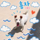 흥이많은 원흥동아이 흥자~!!✌️ 이미지