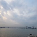 참능이백숙 이미지
