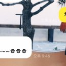 대성다방 이미지