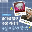 토평동물병원이정우 네이버블로그