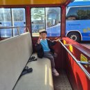 푸른하늘어린이집 | 수원 화성어차 연무대 매표소 아이랑 타본 후기, 화성행궁 찍먹 코스로 추천