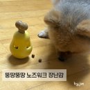 뚱땅뚱땅 | 강아지분리불안 오뚜기노즈워크 뚱땅뚱땅 닭다리 장난감 후기