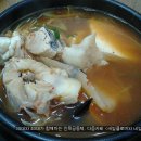 [대구맛집][남구맛집][대명동맛집][서부정류장맛집][SBS생방송투데이맛집][동태전문점 삼우정][뚝배기알곤/오징어순대][남대구세무서와 서부정류장 중간] 이미지