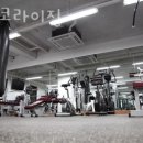 에스코프로 | 반포동헬스 에스코라이징 위치 정보