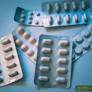 행정사김승호사무소 이미지