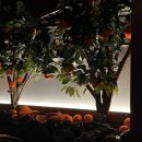 한라맥주원주단계점 이미지