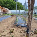 고성 탑 글램핑 농원 이미지