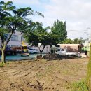 추부초병설유치원 이미지